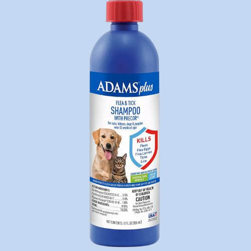 The Best Flea Shampoo for Dogs A Product Review