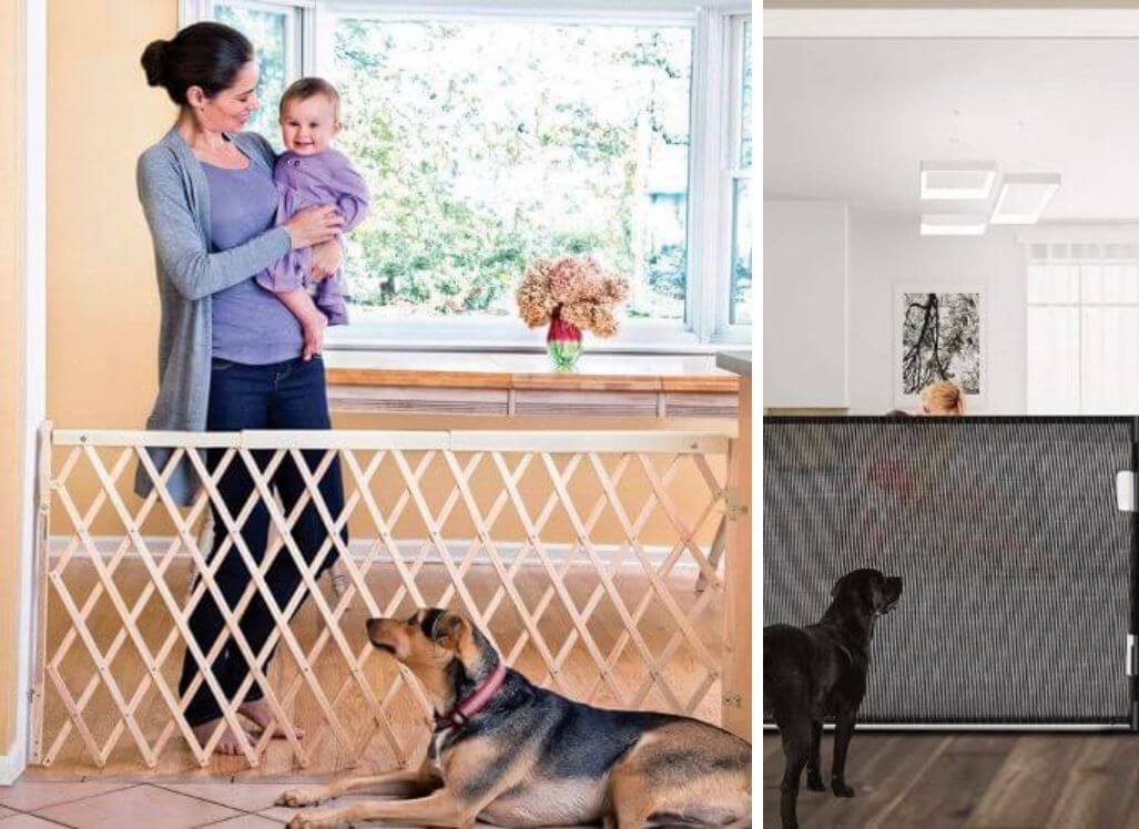The Best Retractable Dog Gate A Paw fect Barrier For Your Pooch the-best-retractable-dog-gate-a-paw-fect-barrier-for-your-pooch