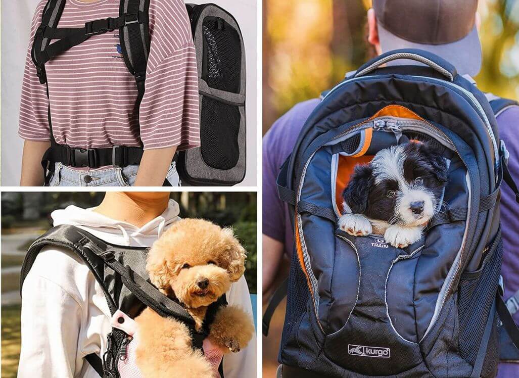Pick the Perfect Pack How to Choose a Dog Carrier Backpack