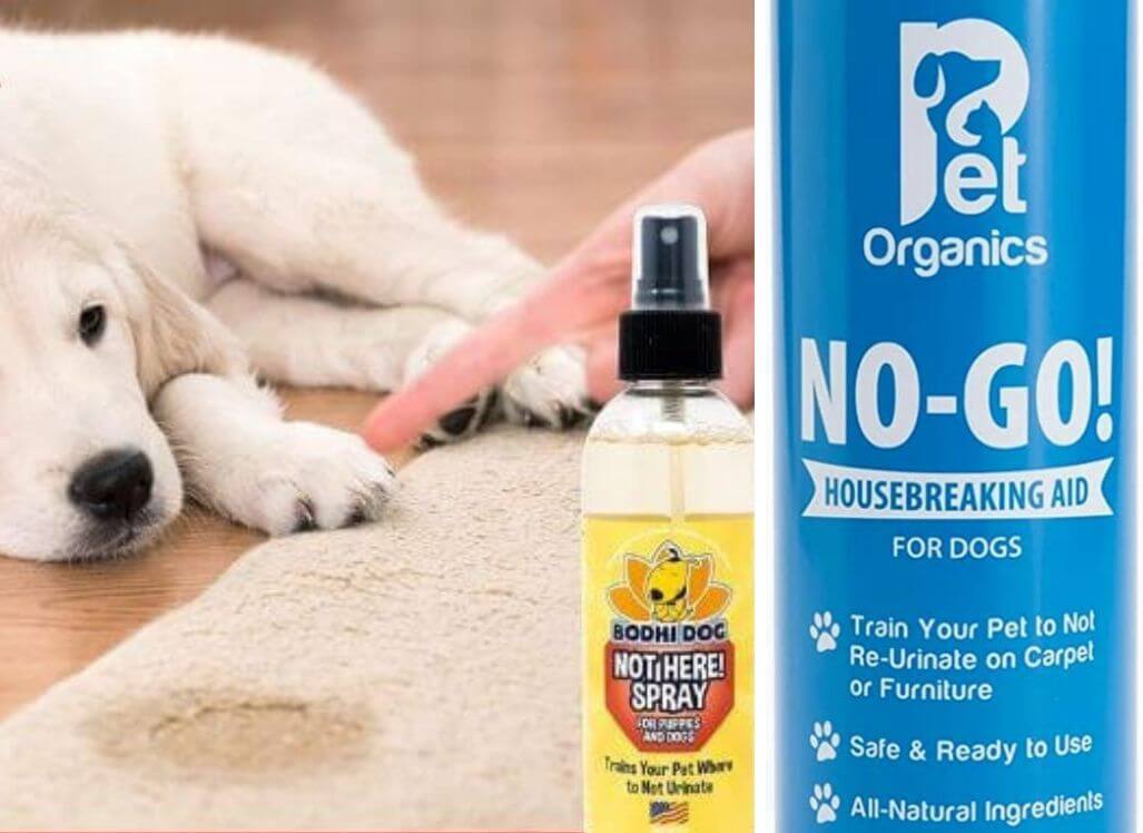 Stop Dog Marking Behavior! The Best NoMarking Spray for Dogs