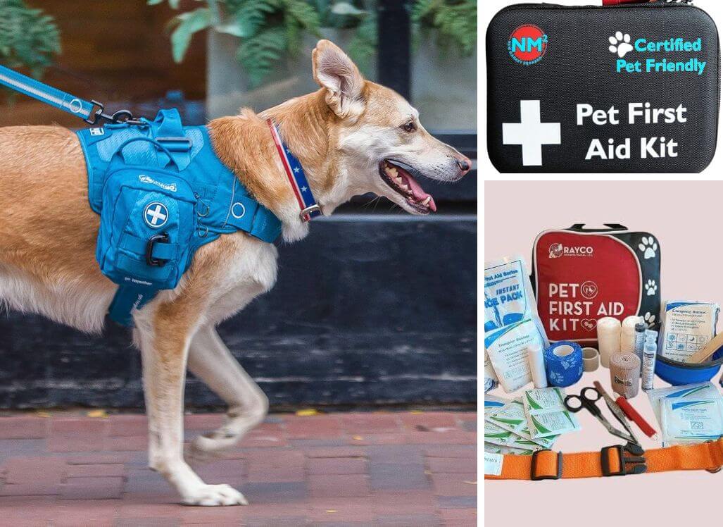 Best Dog First Aid Kit Be Prepared for the Unexpected!