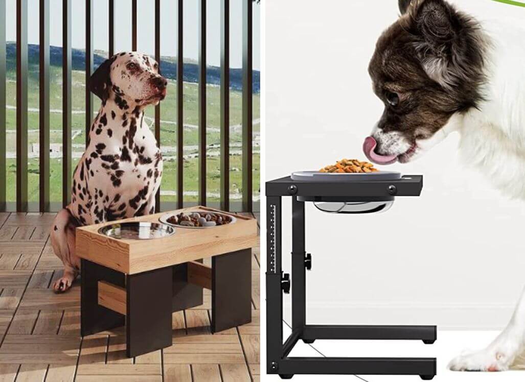 Elevated Dog Feeder Pros And Cons at Dolores Brown blog