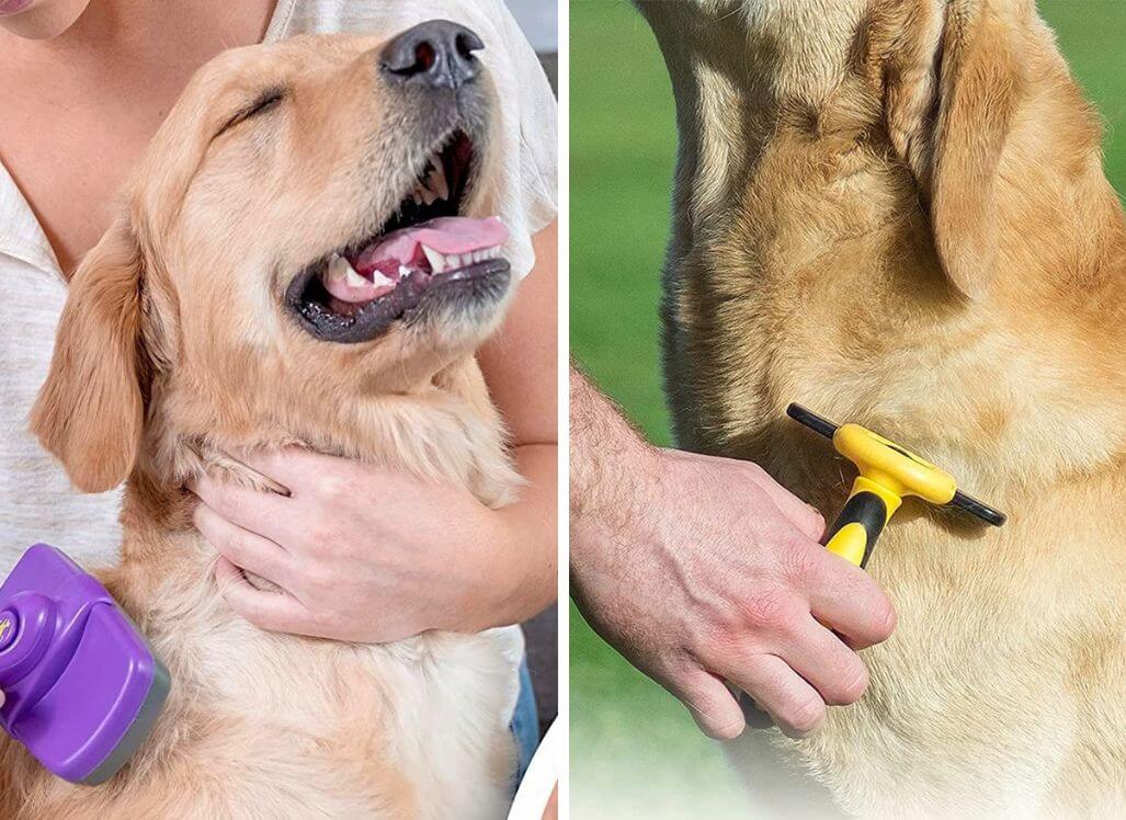 Ditch The Knots And Tangles! Get a Dog Detangler Brush