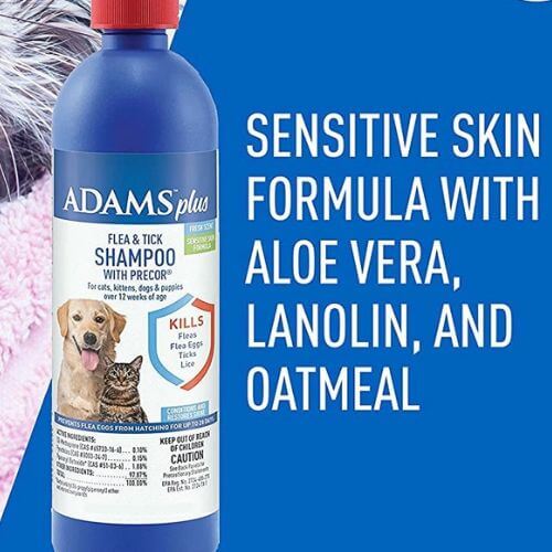 The Best Flea Shampoo for Dogs: Keep Fido Flea-Free!