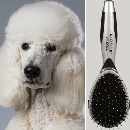 Ditch The Knots And Tangles! Get a Dog Detangler Brush