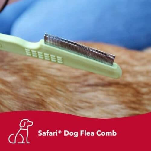 Fighting Fleas with the Top Flea Combs for Dogs!