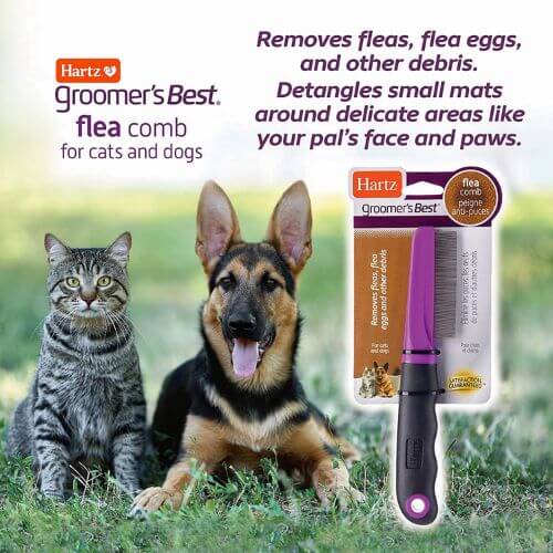 Fighting Fleas with the Top Flea Combs for Dogs!