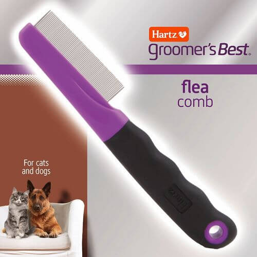 Fighting Fleas with the Top Flea Combs for Dogs!