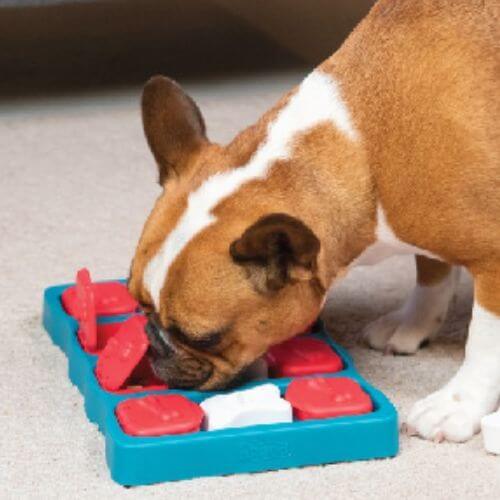 The Nina Ottosson Dog Brick: A Game-Changer for Mental Stimulation