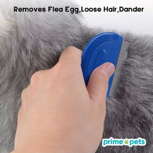 Fighting Fleas with the Top Flea Combs for Dogs!