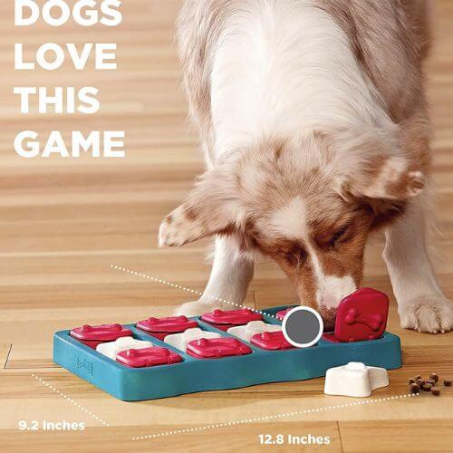 The Nina Ottosson Dog Brick: A Game-Changer for Mental Stimulation