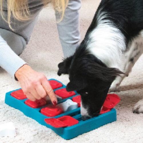 The Nina Ottosson Dog Brick: A Game-Changer for Mental Stimulation