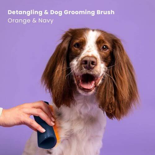 Ditch The Knots And Tangles! Get a Dog Detangler Brush