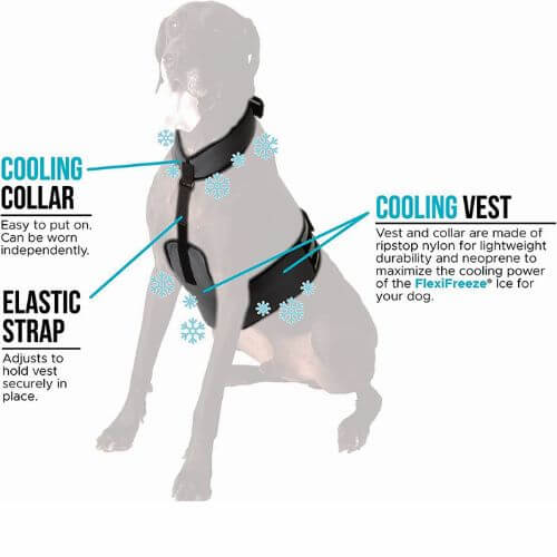 Chill Out: The Top 7 Dog Cooling Vests to Beat the Heat!