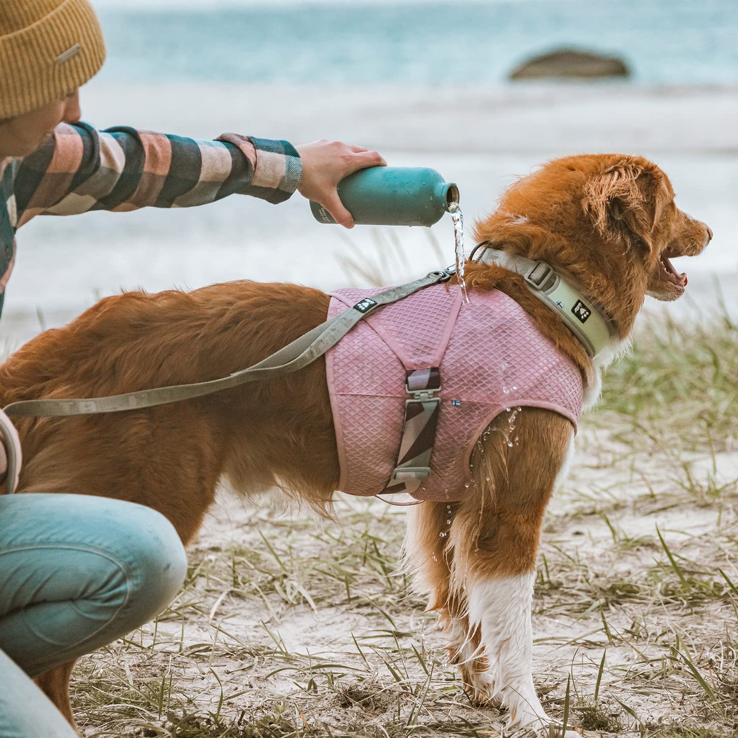 Chill Out: The Top 7 Dog Cooling Vests to Beat the Heat!