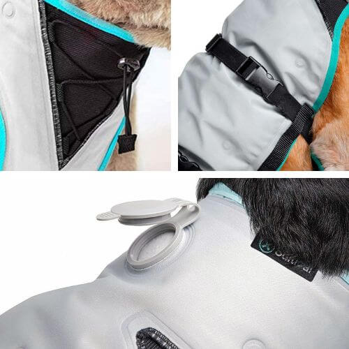 Chill Out: The Top 7 Dog Cooling Vests to Beat the Heat!