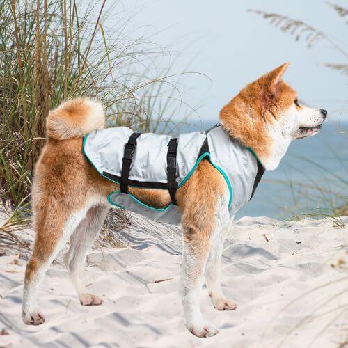 Chill Out: The Top 7 Dog Cooling Vests to Beat the Heat!