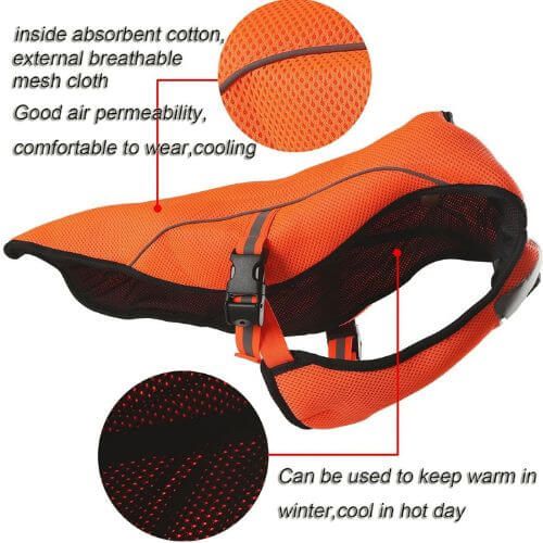 Chill Out: The Top 7 Dog Cooling Vests to Beat the Heat!