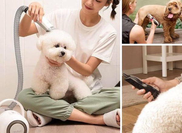 Channel Your Inner Groomer: Best Dog Grooming Clippers Reviewed!