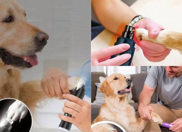 A Pedicure for Fluffy: The Five Best Dog Nail Grinders