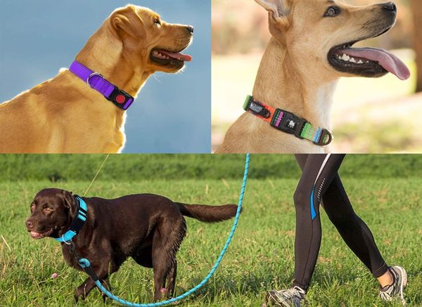 Night Walks in Safety and Style: The Best Reflective Dog Collar