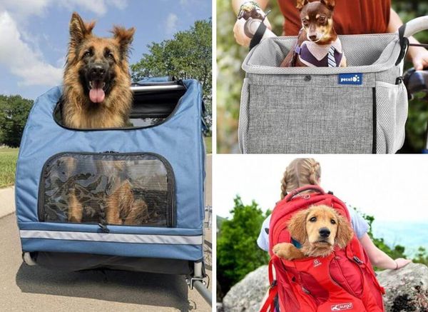 Take Your Dog Along for the Ride: The Best Ways to Carry a Dog on a Bike