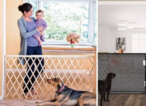 The Best Retractable Dog Gate: a Paw-fect Barrier for Your Pooch!