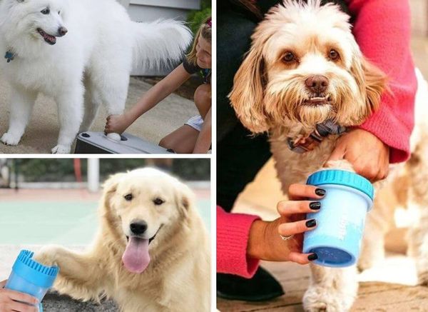 The 5 Best Dog Paw Cleaners for a Safe and Effective Clean