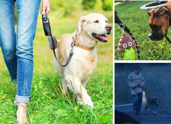 Grab the Bag, Quick! The Best Dog Poop Bag Dispensers