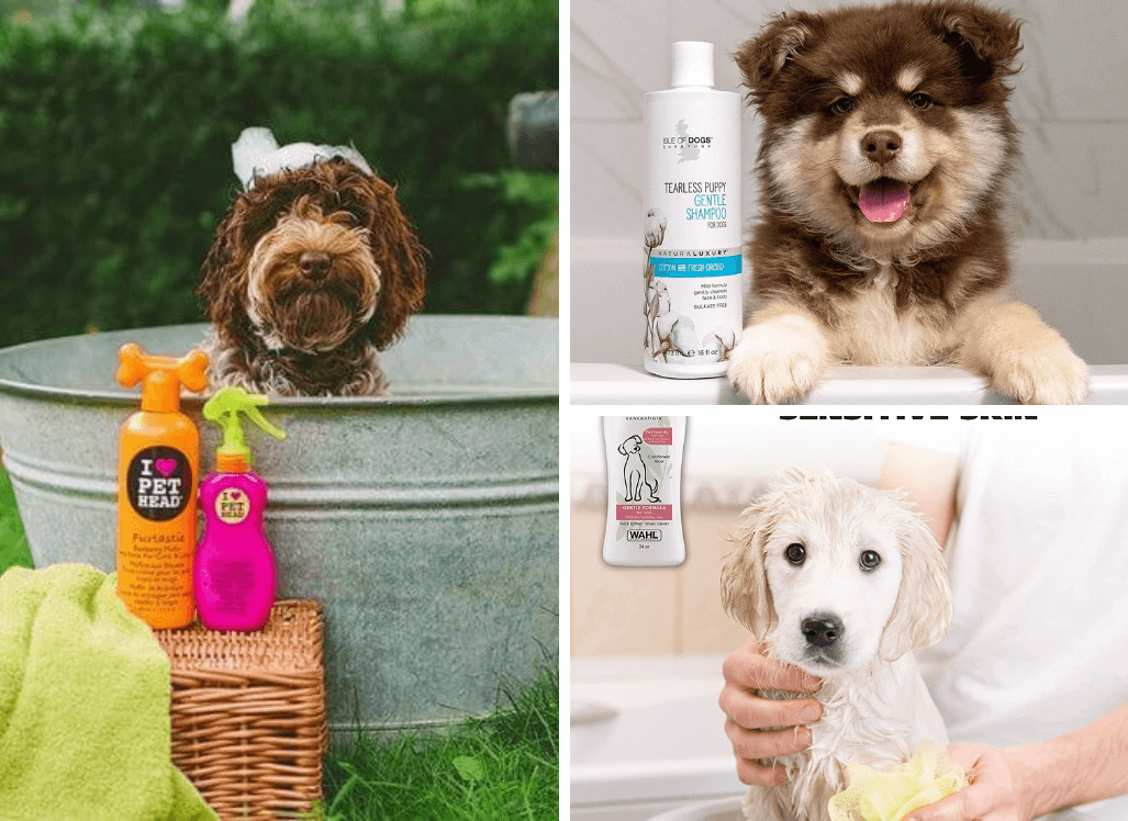 Best Puppy Shampoo - Dirty Pup? No Problem!