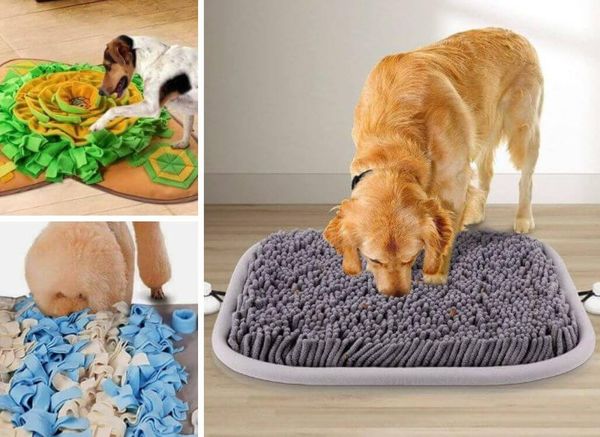 Sniff Out the 6 Best Snuffle Mats for Dogs