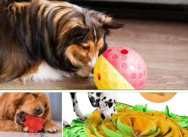 The 7 Best Toys for Blind Dogs: Fun and Engaging Toys for Sightless Joy!