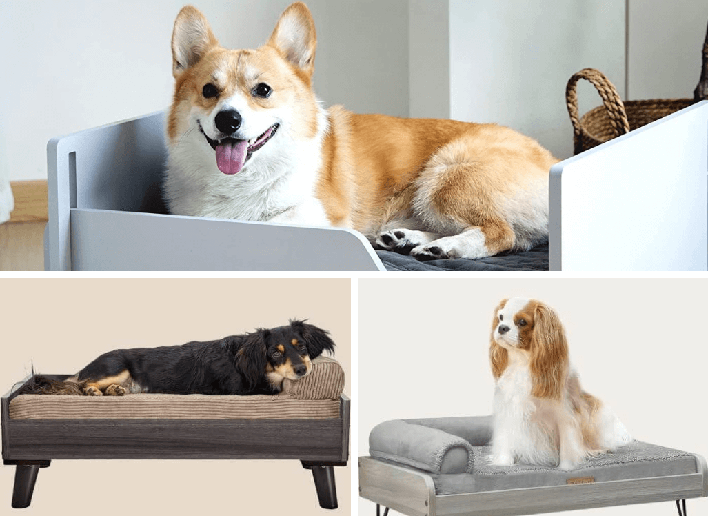 Snooze in Style: 5 Dog Bed Frames from Amazon
