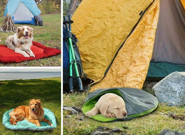 Best Dog Camping Bed: Every Pooch Going Camping Needs One!