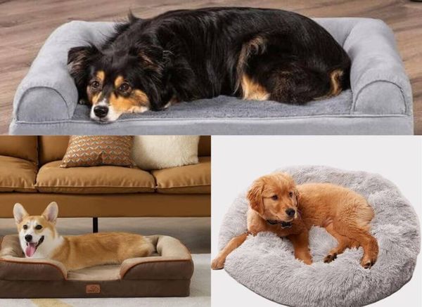 How to Choose a Dog Bed That Your Pet Will Love