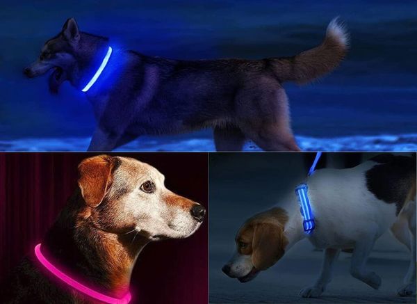 LED Dog Collar: the How, What, and Why