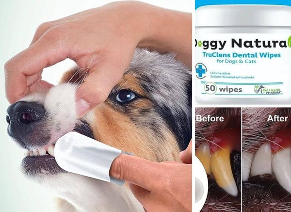Only the Best Dog Dental Wipes for Your Fur Baby's Teeth!