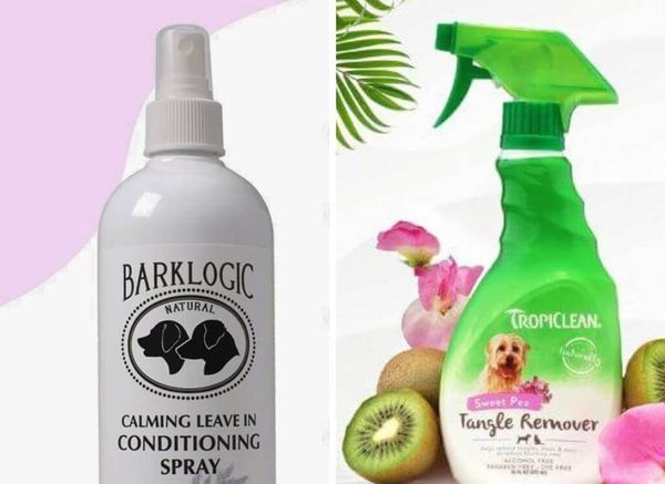 Best Dog Detangler: Sprays and Conditioners for Tangle-free Fur