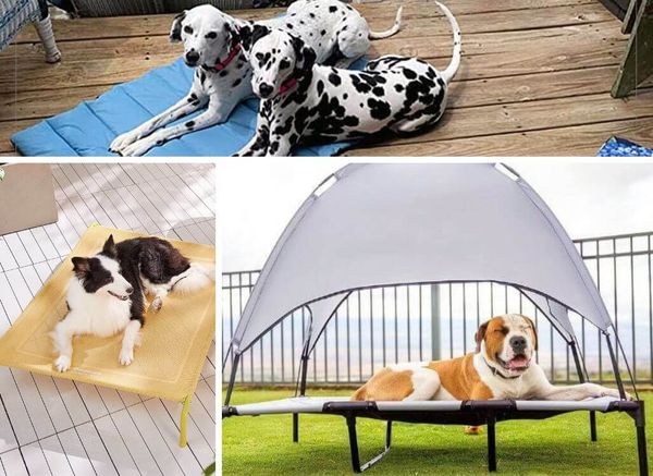 Lazing in Luxury: the Best Outdoor Dog Bed