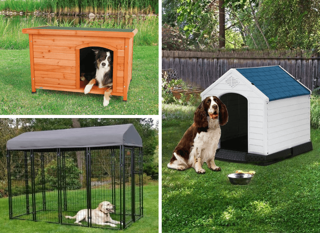 Choose the Best Outdoor Dog Houses and Kennels