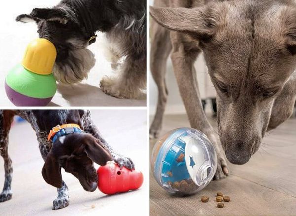 The Best Treat Dispensing Dog Toys that are the Most Fun!