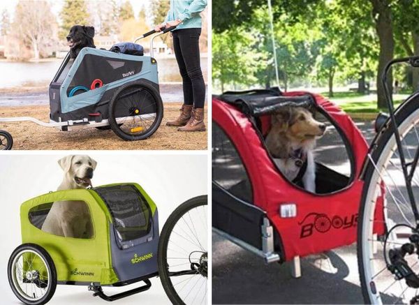 Dog Trailers for Bikes? Let Fluffy Ride Behind in Style!