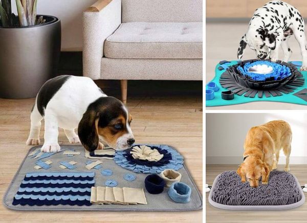 What is a Snuffle Mat for Dogs? (and Why Fido Wants One)