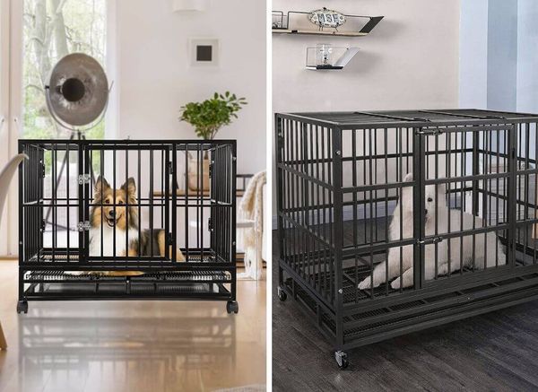 Ease Your Dog's Worries with the Best Dog Crates for Anxiety