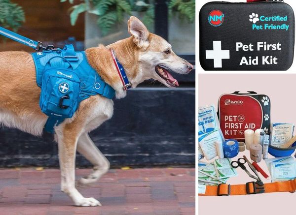 Best Dog First Aid Kit - Be Prepared for the Unexpected!