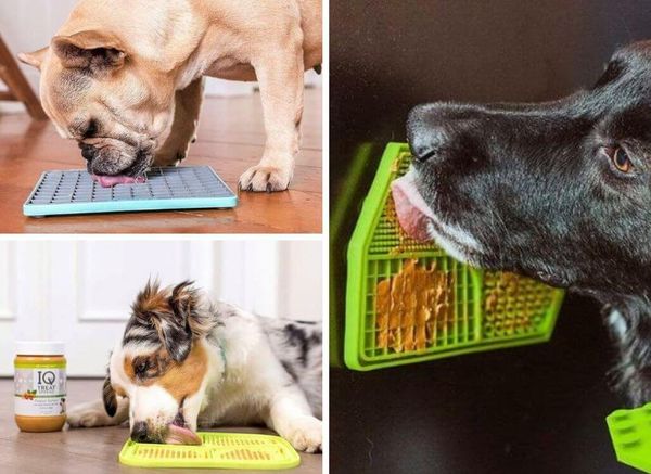 Best Lick Mat for Dogs: a Feast for Fido