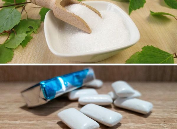 The Hidden Dangers of Xylitol to Dogs