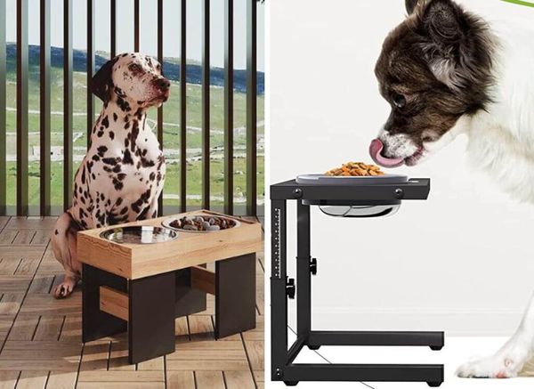 The Pros (& Cons?) of Elevated Dog Bowls