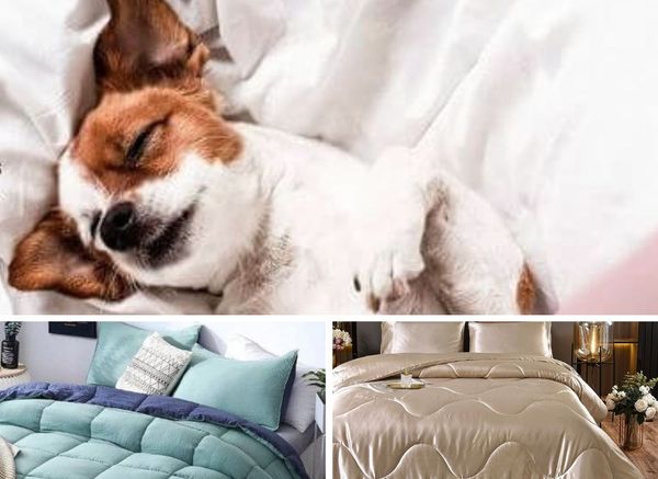 Snuggle Up with the Best Comforters for Dog Hair!