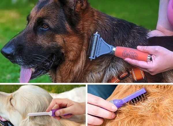 The Best Dog Dematting Tools to Untangle Fluffy's Fur